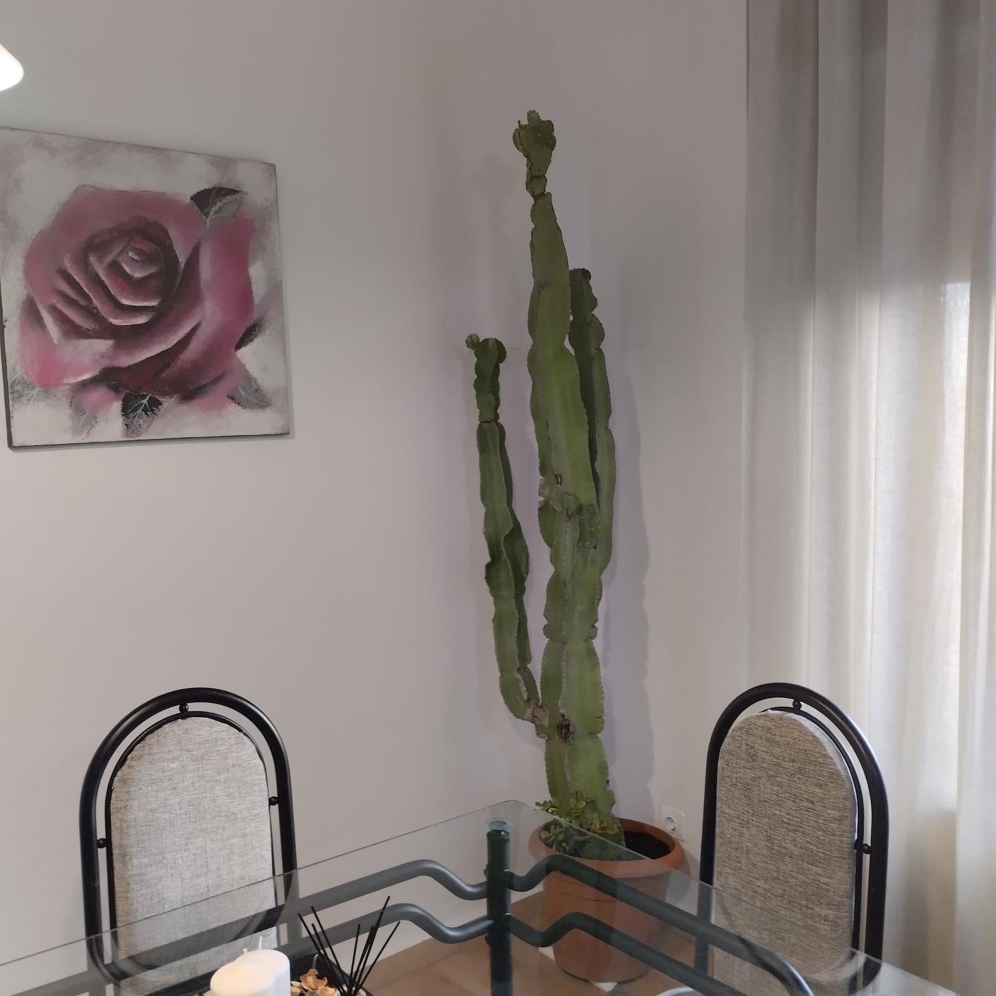 Apartamento Esperanza De La Yedra Jerez de la Frontera Exteriör bild